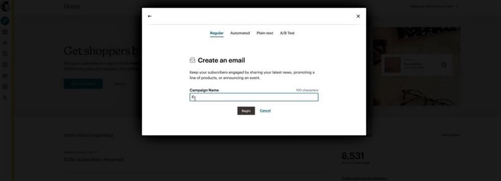 How to Use Mailchimp in 2022  A Beginner s Guide - 59