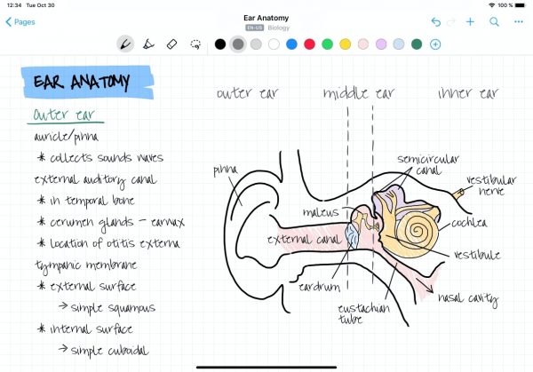 20 Best Note Taking Apps to Keep Track of Your Ideas - 90