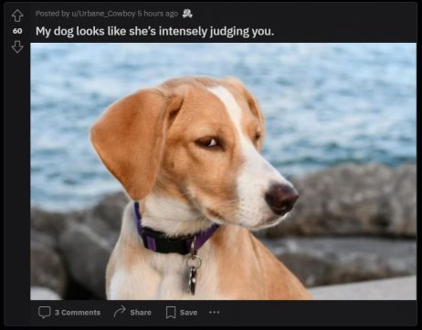 How to Make a Subreddit: A Beginner’s Guide | Robots.net