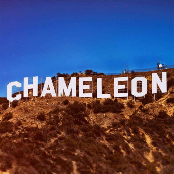 Chameleon Campside Media