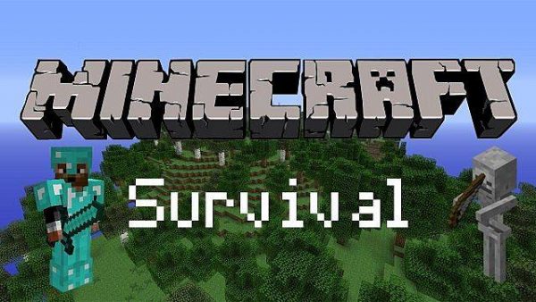 Survival Minecraft Server