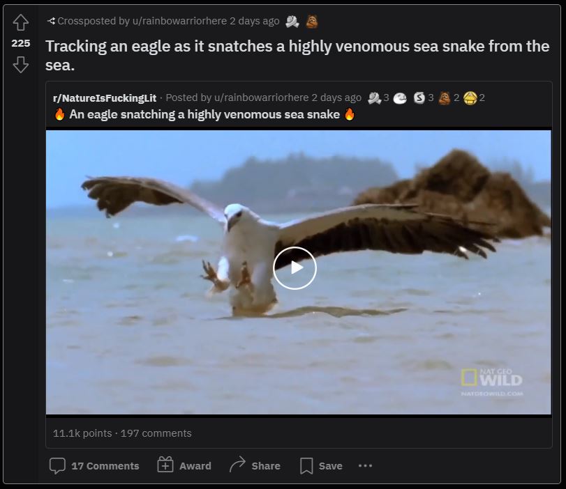 50 Best Subreddits On The Front Page Of The Internet | Technos