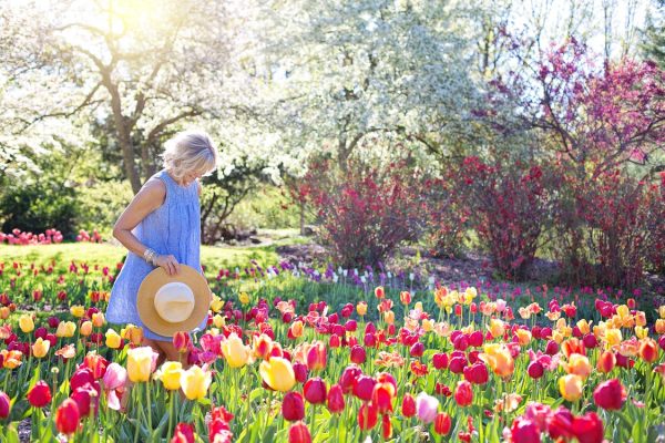 Gardening Games