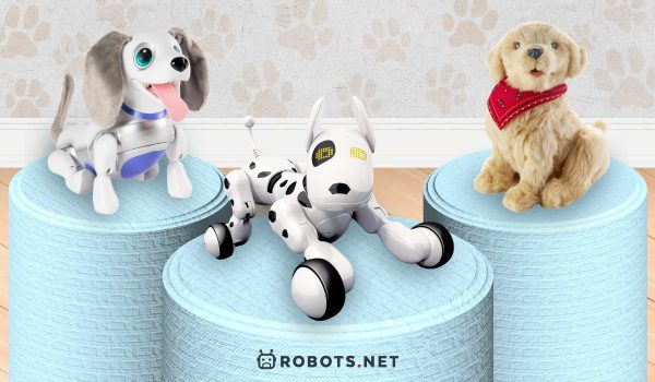 Robot dog toy