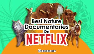 10 Best Nature Documentaries on Netflix To Enjoy Today