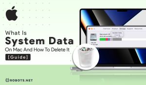What is System Data on Mac and How to Delete It [GUIDE]