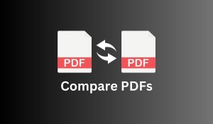 Compare PDFs: Finding Differences Made Simple