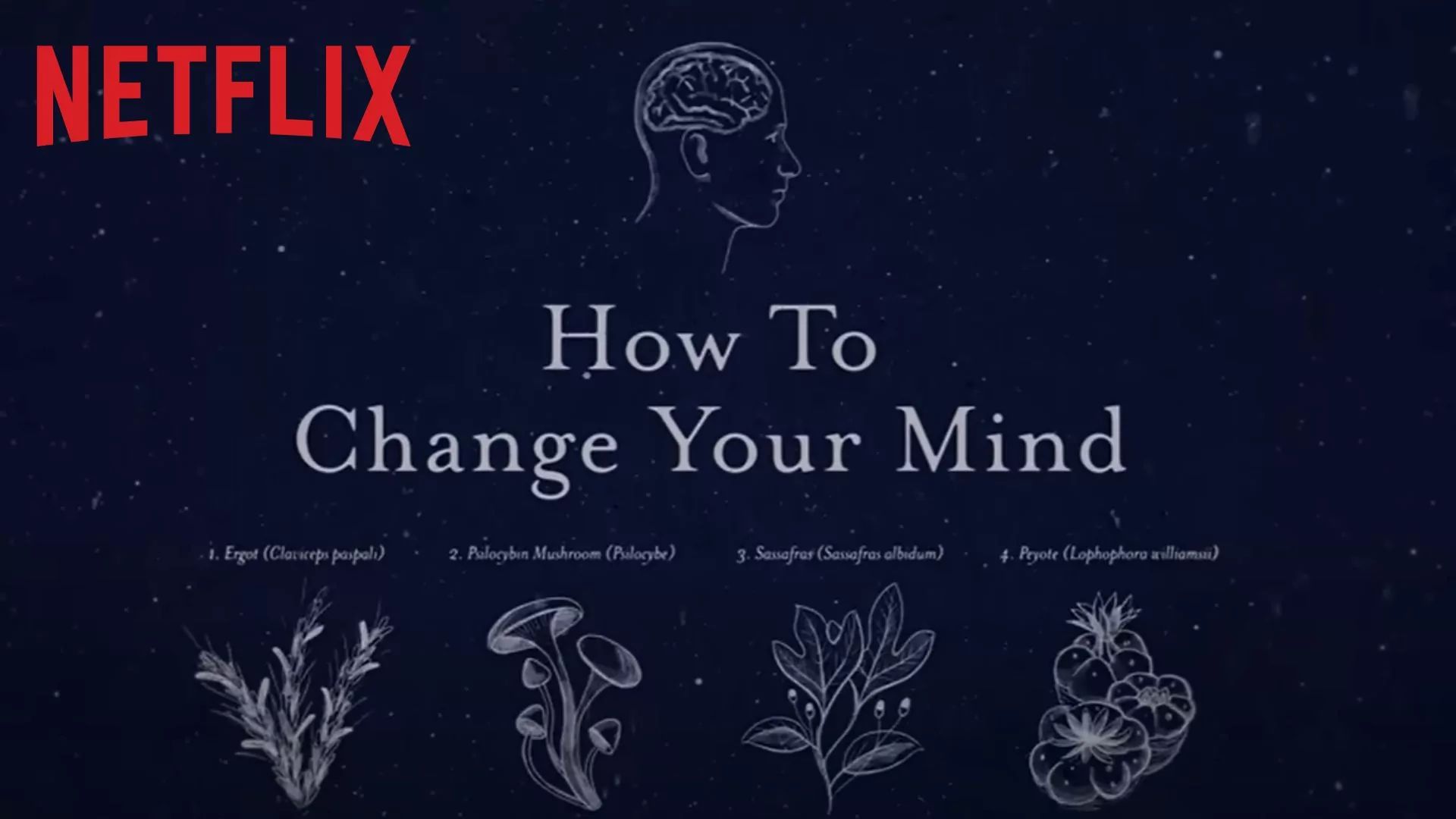 how-to-change-your-mind-netflix