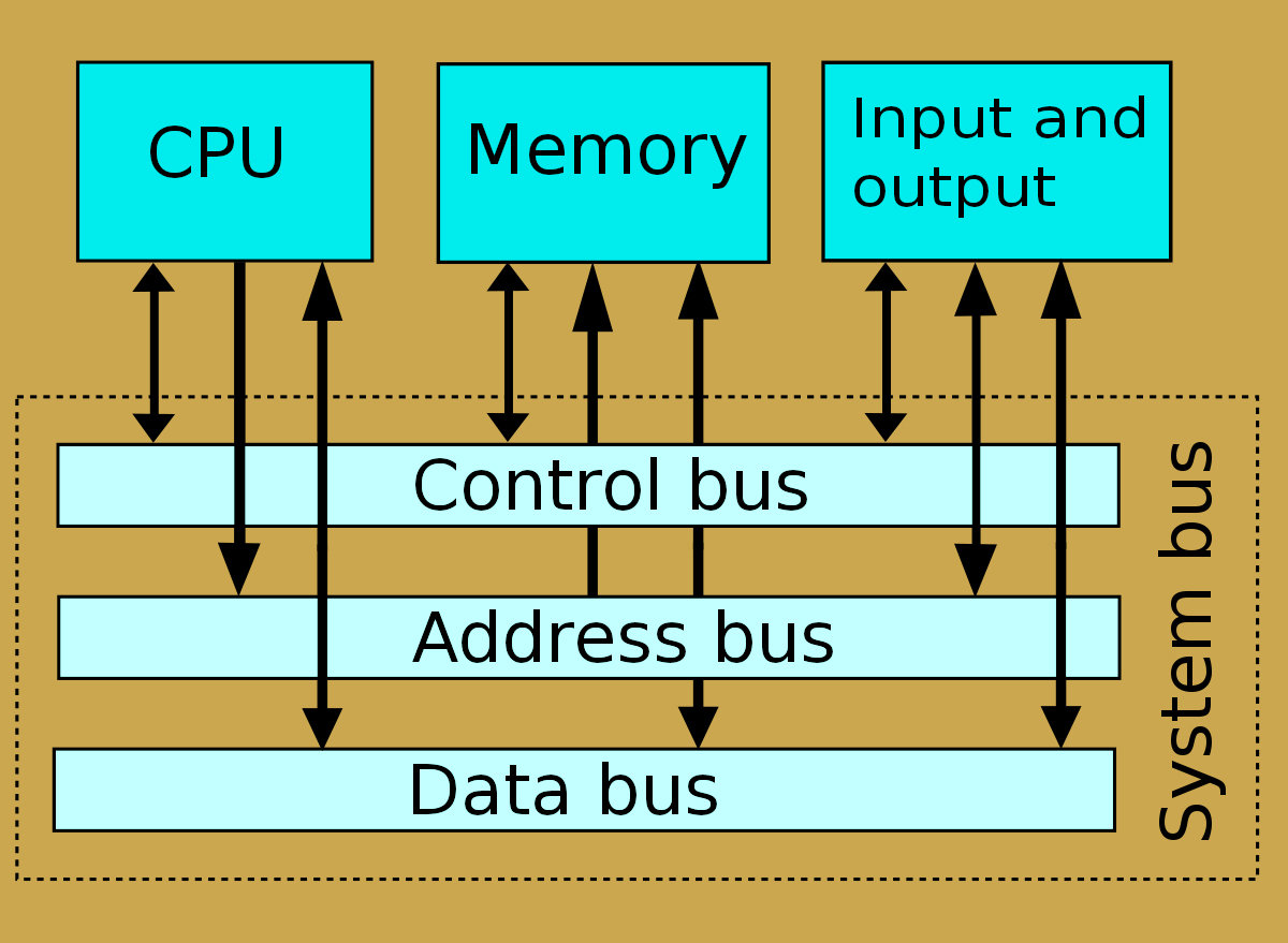 what-is-the-bus-between-the-ram-and-cpu-called