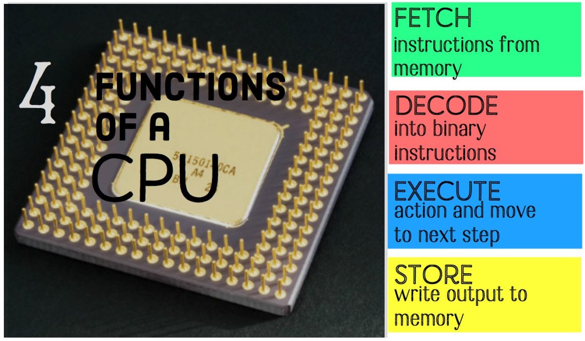 What Is The Function Of The CPU?