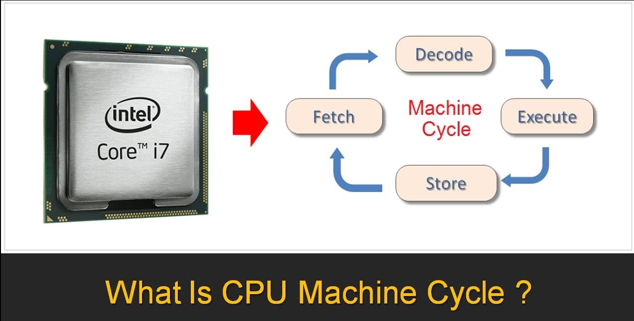 when-the-cpu-actually-performs-the-work-described-in-the-commands-during-a-machine-cycle