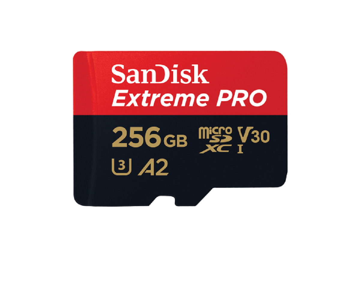 11-amazing-sandisk-256gb-micro-sd-card-for-2023