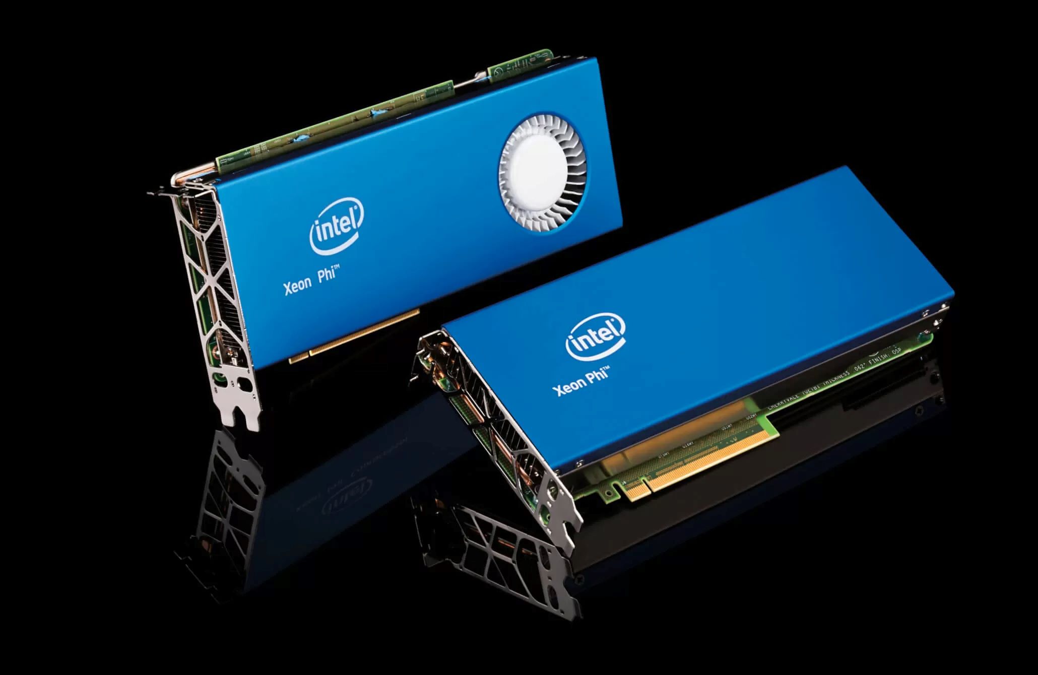 13 Best Intel GPU for 2024