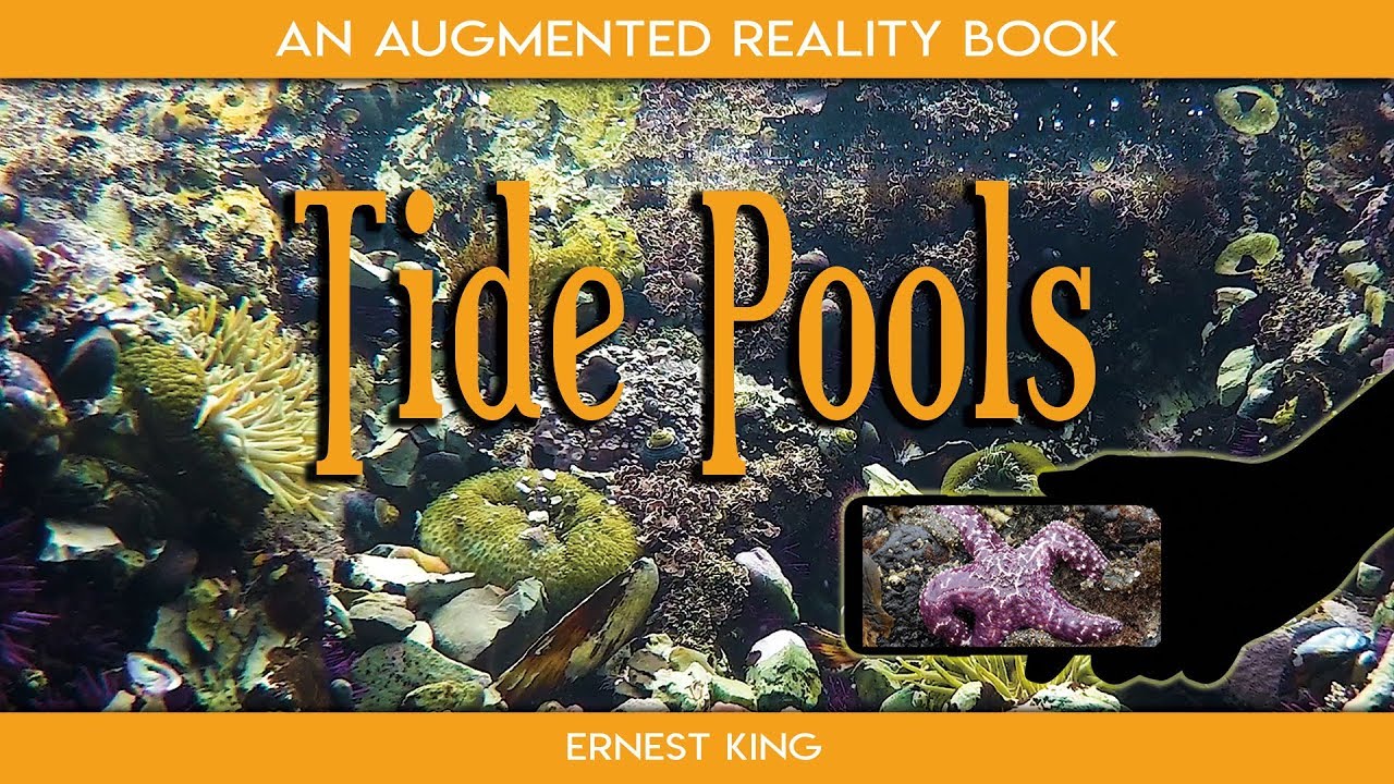 14 Amazing Tide Pools Augmented Reality Book for 2024