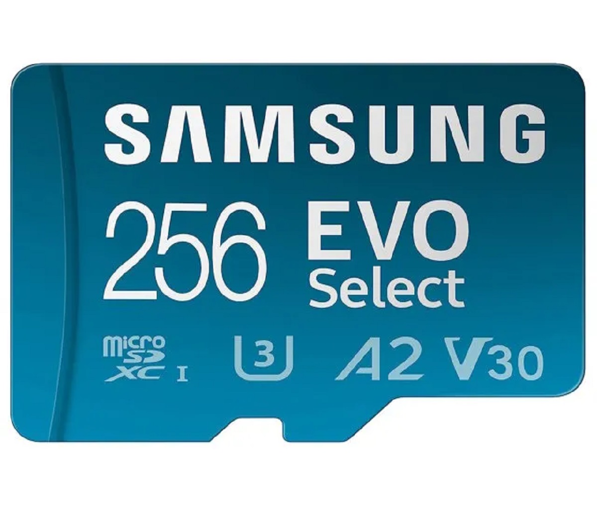 14 Best Micro SD Card 256gb for 2024