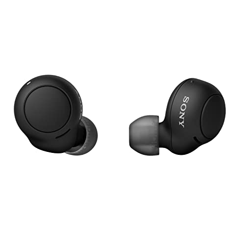 Sony WF-C500 Wireless In-Ear Bluetooth Earbud Headphones