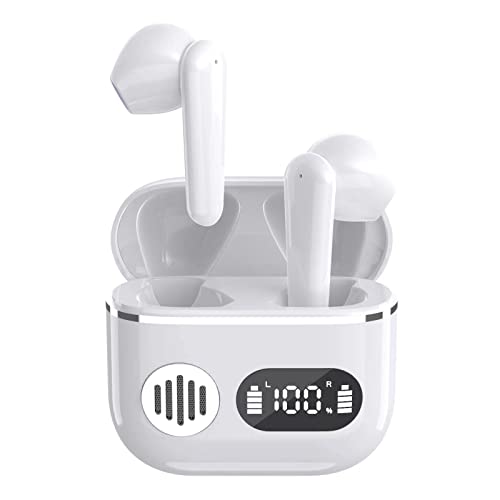 Bluetooth 5.2 Wireless Earbuds