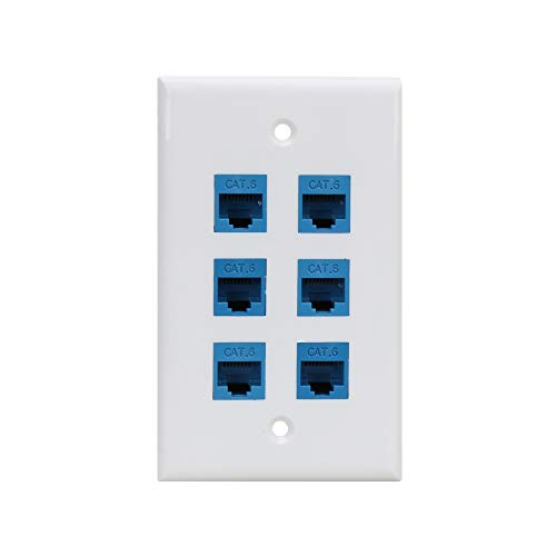 Cat 6 Ethernet Wall Plate - Blue
