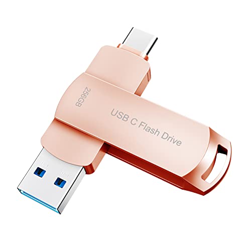 DEZOBYTE USB Flash Drive 256GB USB C Memory Stick