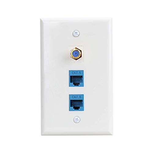 Ethernet and Coax Wall Plate