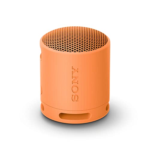 Sony SRS-XB100 Portable Travel Speaker