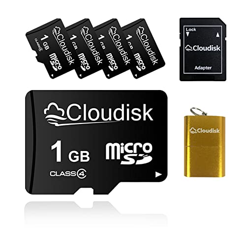 Cloudisk 1GB Micro SD Card