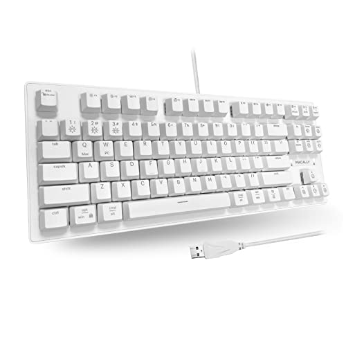 Mac Mechanical Keyboard Backlit