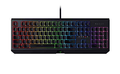 Razer BlackWidow Mechanical Gaming Keyboard: Green Mechanical Switches, Tactile & Clicky, Chroma RGB Lighting