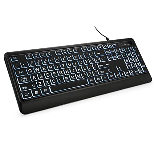 Large Print Backlit Keyboard