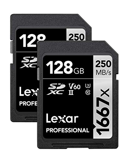 Lexar Professional 2-Pack SDXC Memory Cards