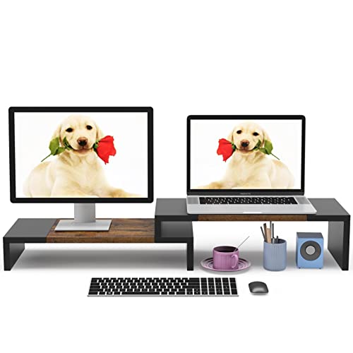 WESTREE Dual Monitor Stand