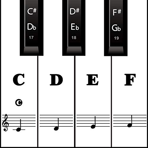 Piano Keyboard Stickers for Beginners