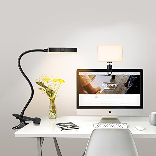 LED Desk Light with 3 Color 10 Dimming Level