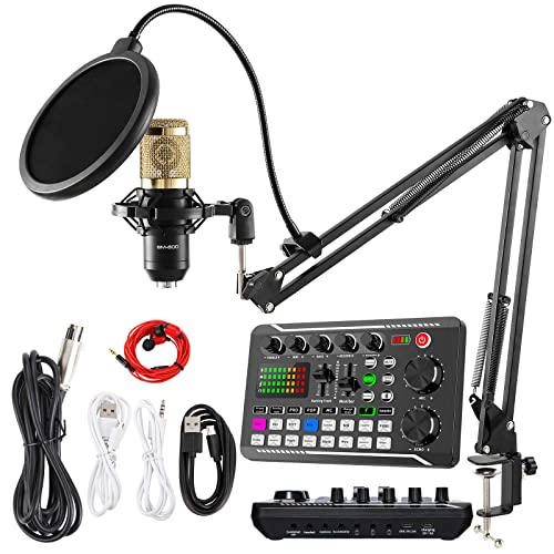 SINWE Podcast Microphone Bundle