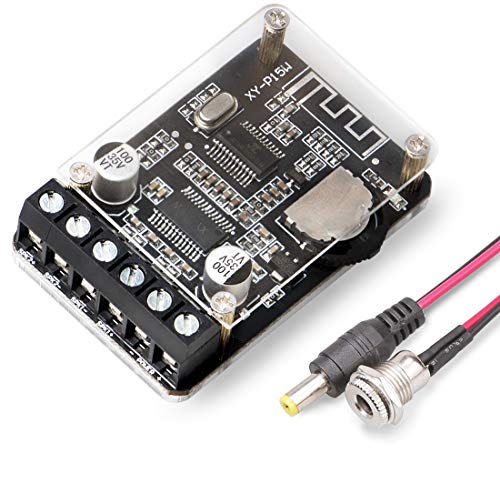 DAMGOO Mini Amp Module with BT 5.0 and 20W Power Output