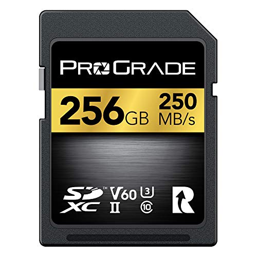 Prograde Digital SD UHS-II 256GB Card V60