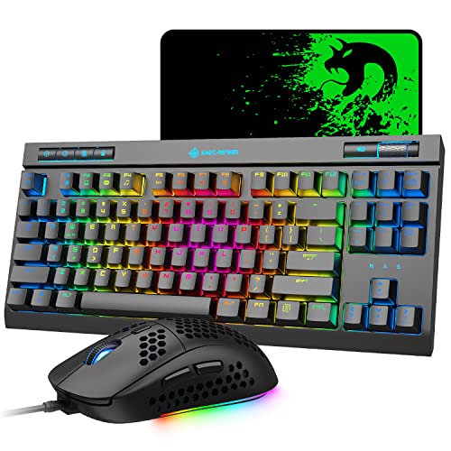 Blue Switch Gaming Keyboard and Mouse Combo with RGB Backlight