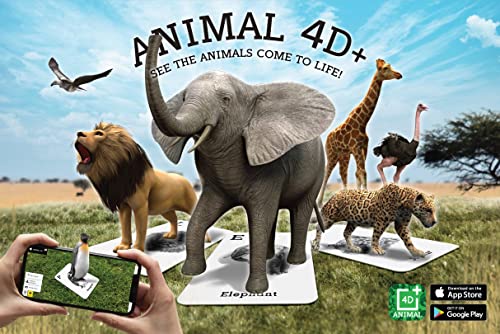 Animal 4D+ AR Cards