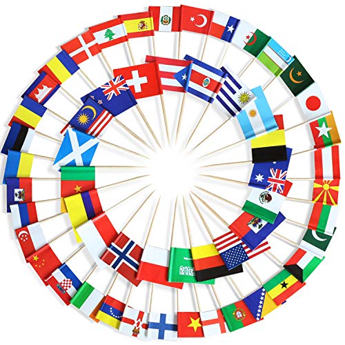 Flags of 100 Countries - Party Decoration Toothpick Flag Set