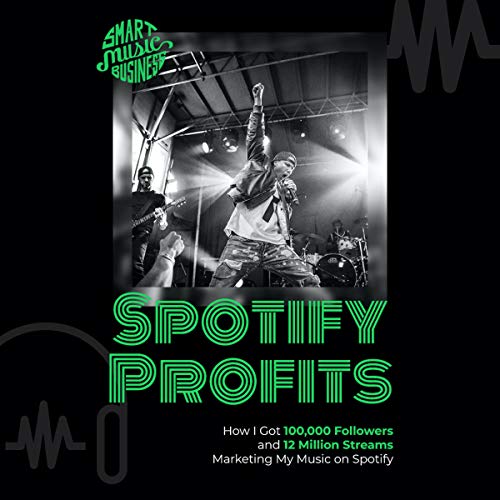 Spotify Profits: Music Marketing Strategies