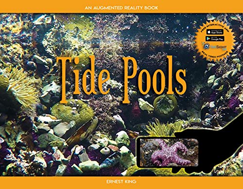 Tide Pools: An Immersive Augmented Reality Experience