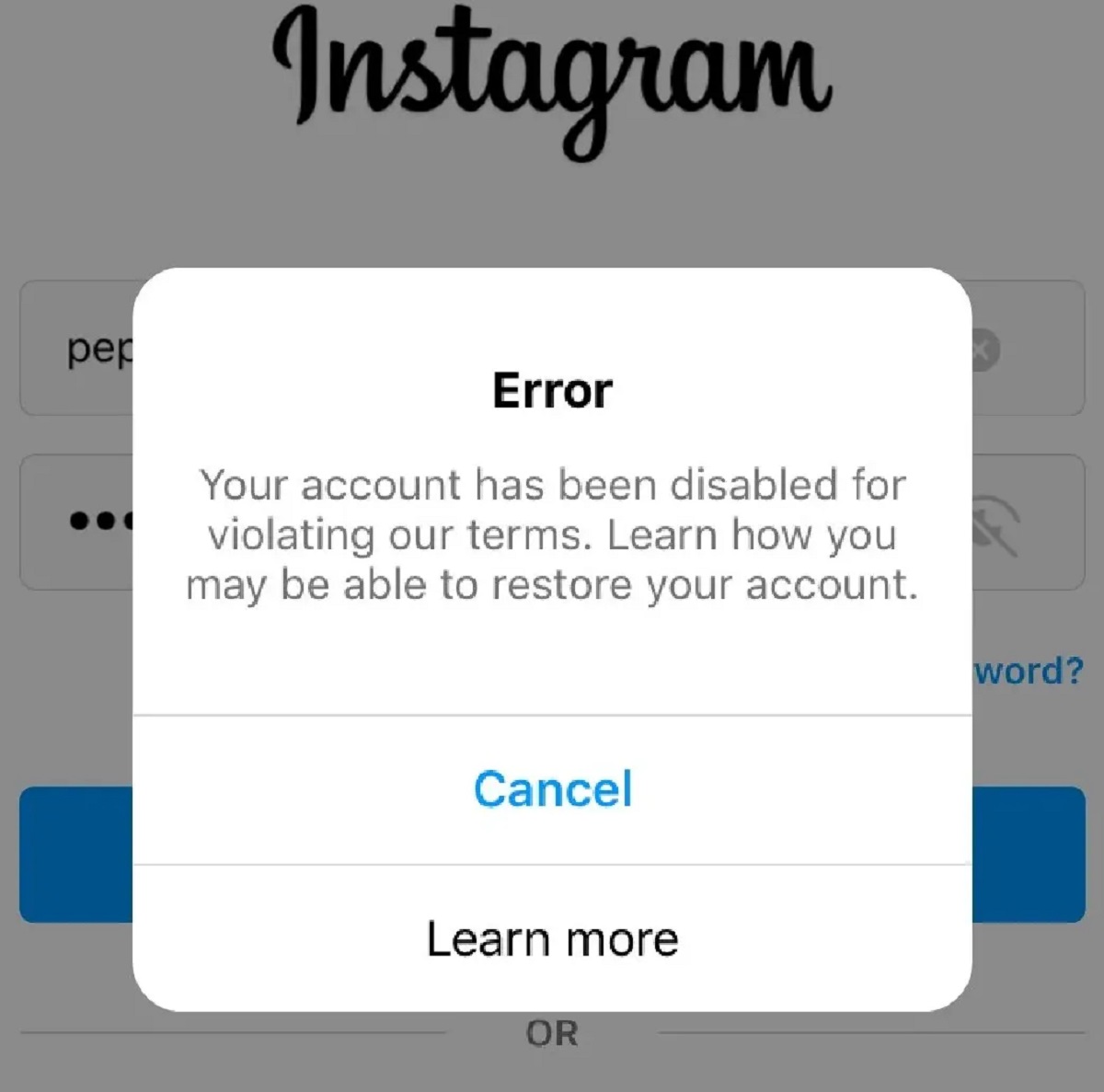 how-can-i-get-my-instagram-back-after-being-disabled