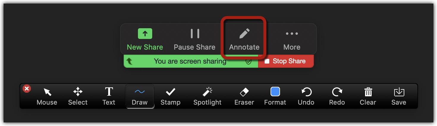 How To Annotate On Zoom