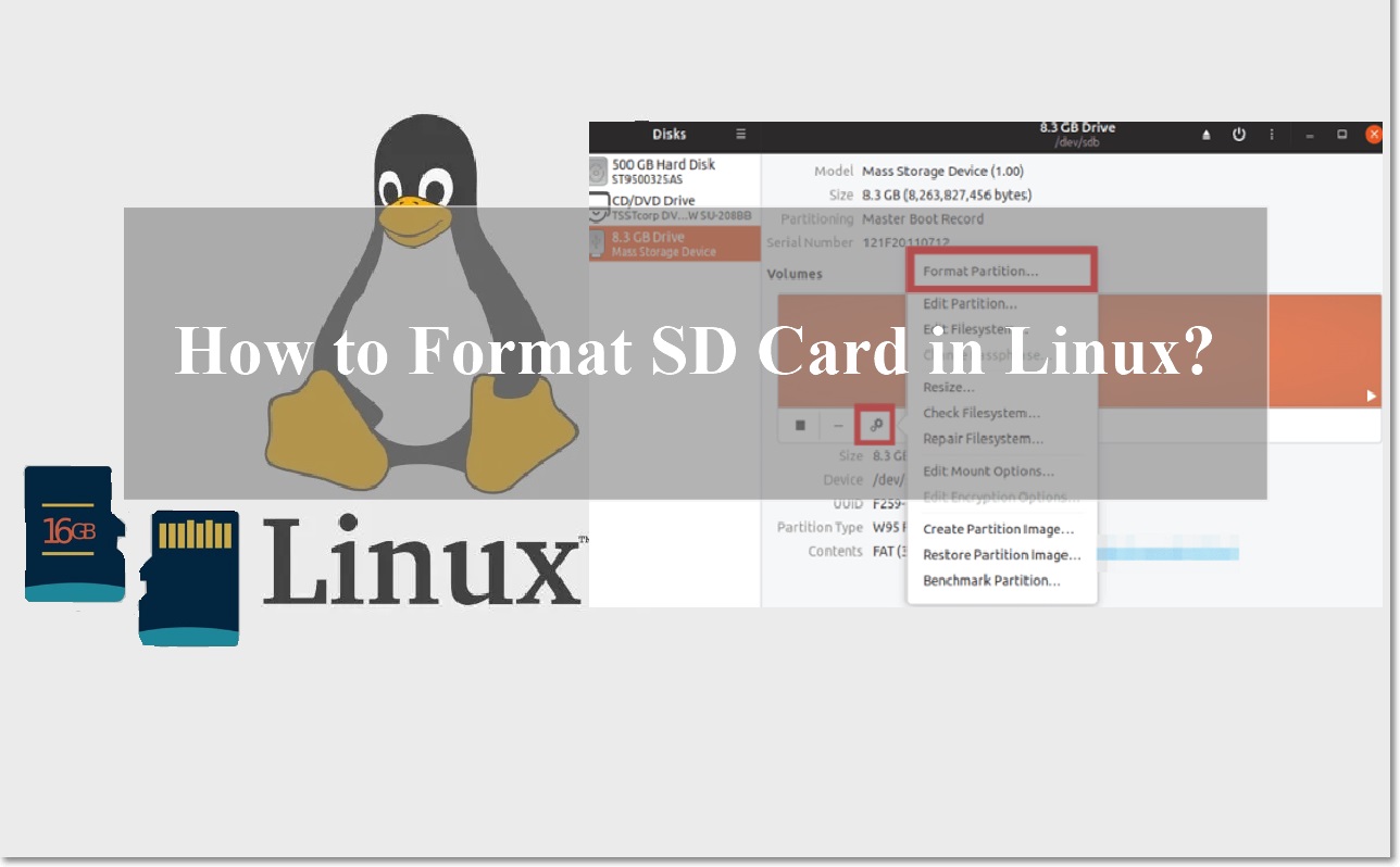 How To Format SD Card On Linux