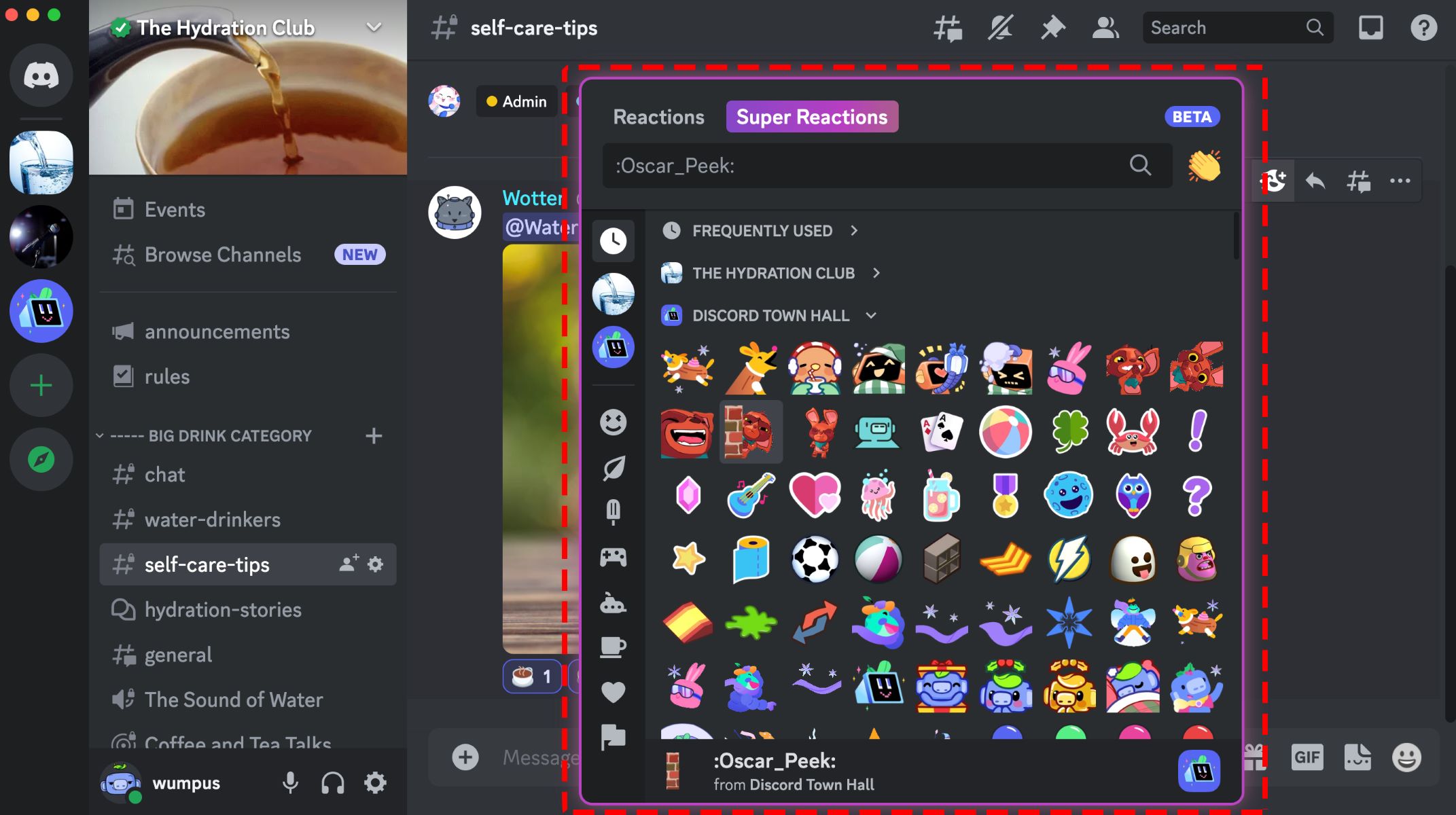 how-to-react-in-discord