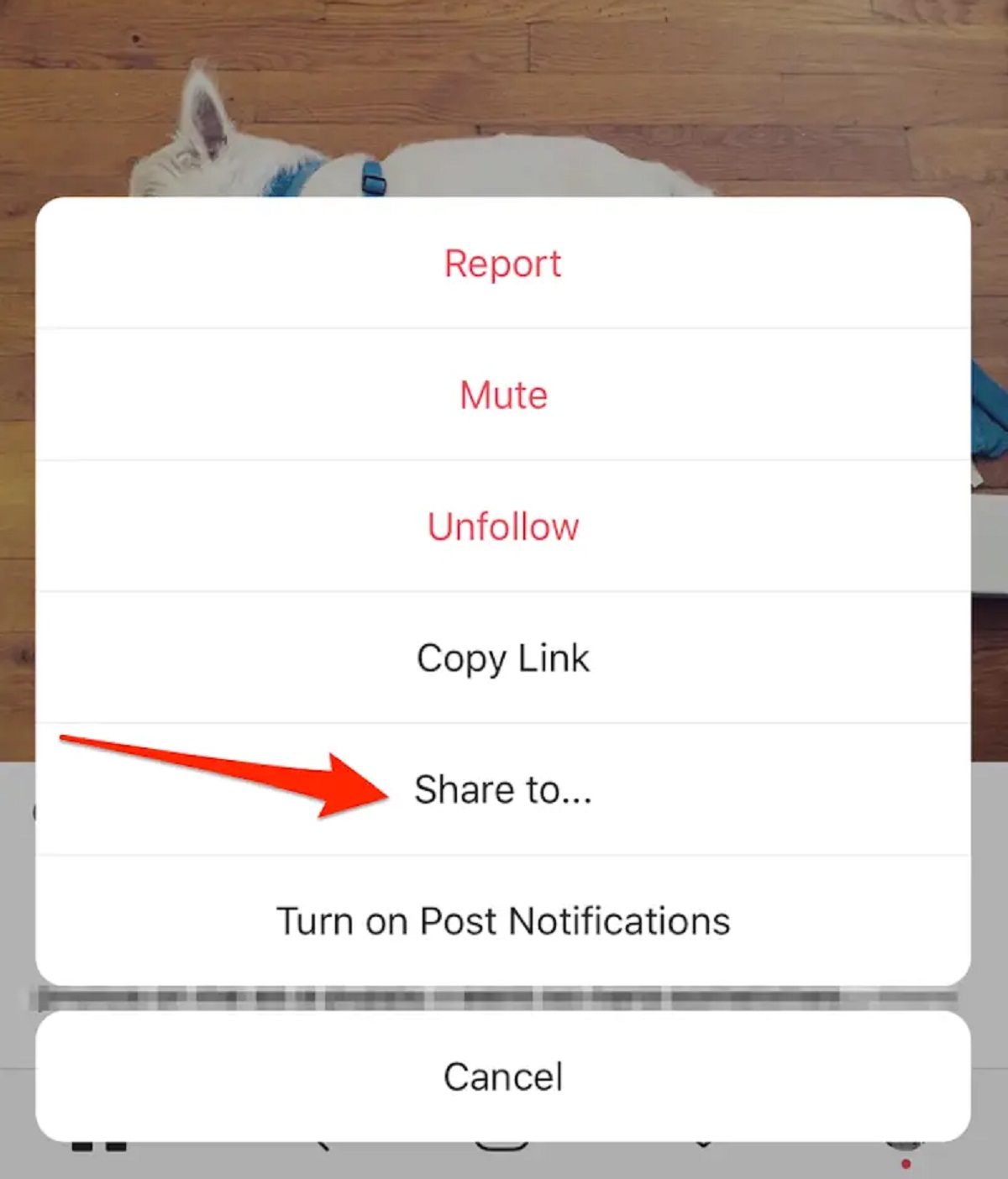 how-to-share-video-on-instagram