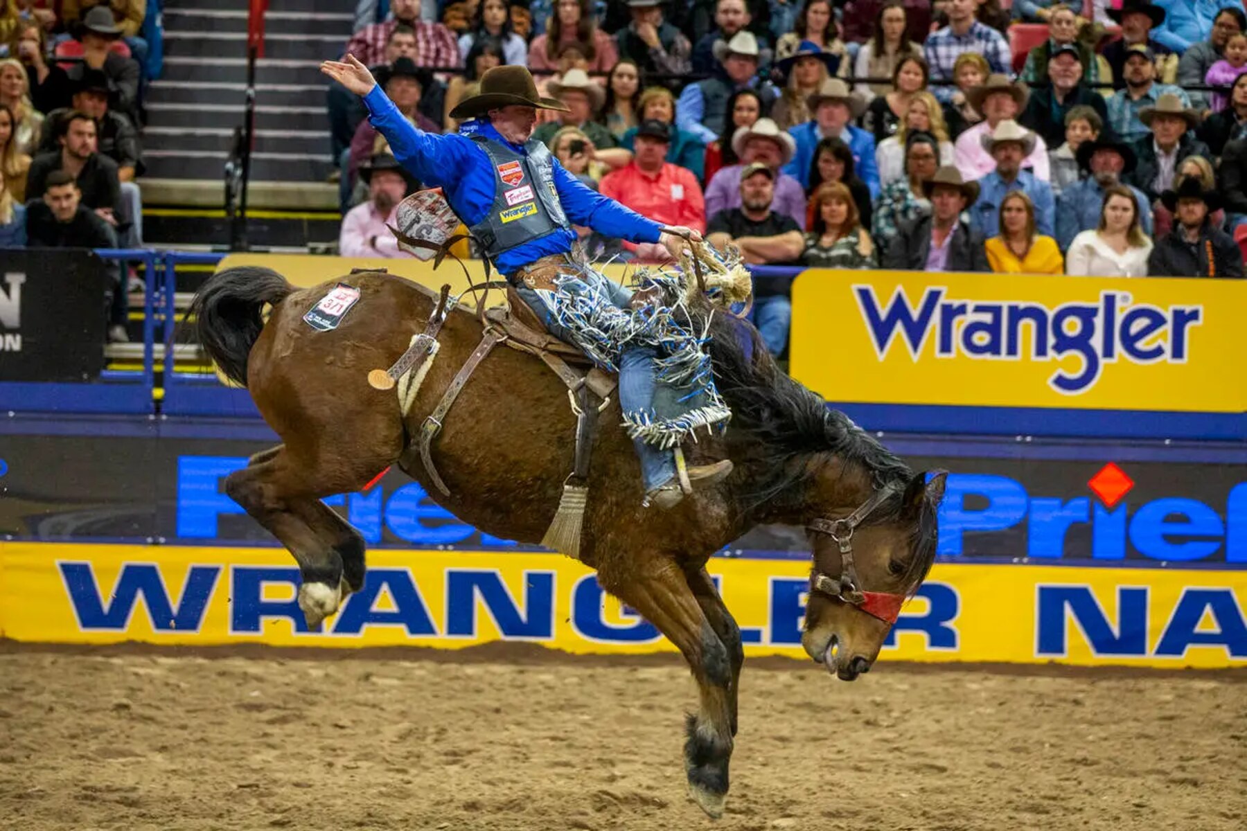 How To Watch The Nfr Robots