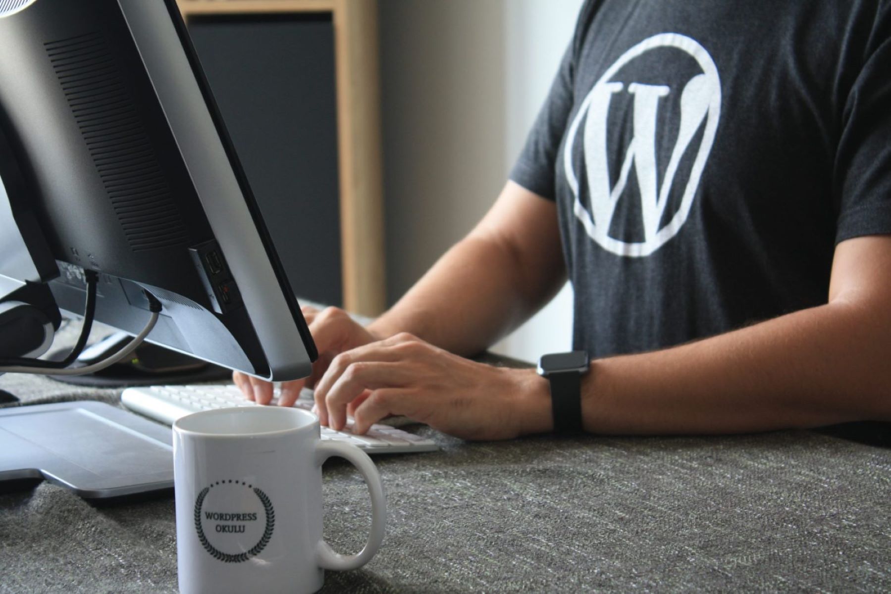 new-seo-title-wordpress-introduces-100-year-domain-registration-plan-for-long-term-digital-preservation
