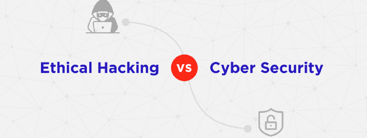 What Is The Difference Between A Hacker And A Cybersecurity Professional
