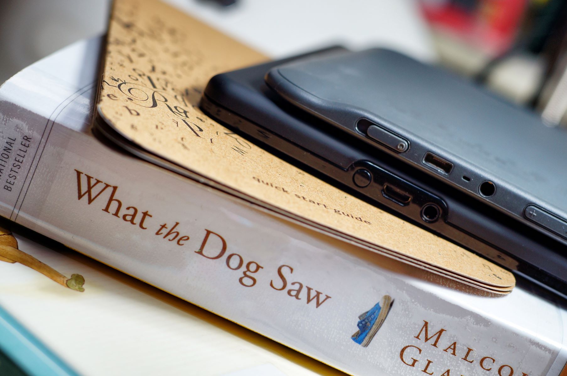What The Dog Saw eBook Free Download